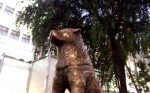 中国人が検索する都道府県ランキング
